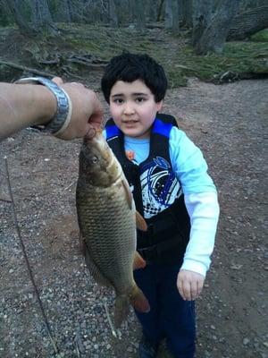 Carp caught at Rainbow Reservoir boat launch