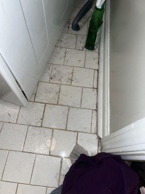 Washer leak that went through the floor