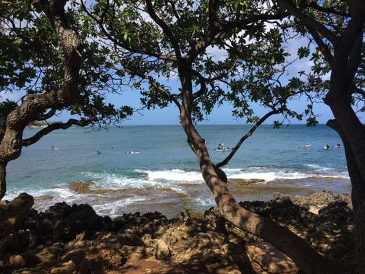 Turtle Bay cottage room