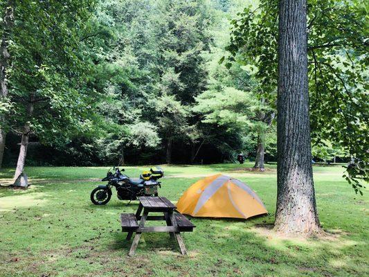 Lush green grounds, mature trees for shade