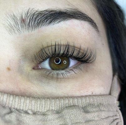 Classic Lashes