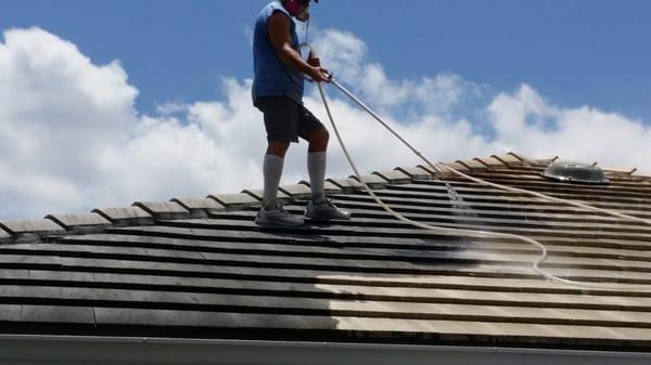 No Pressure chemical Roof Cleaning