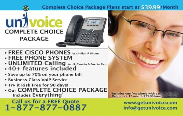 Business Voice Services