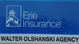 Olshanski Walter Agency logo