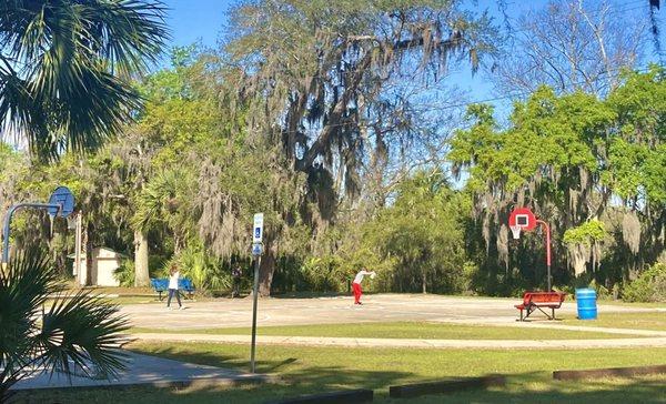 Selden Park basketball court