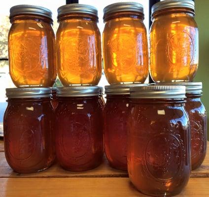 Local Honey