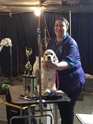 Placed 2nd in rescue roundup. Grooming competition to help rescue pets get adopted