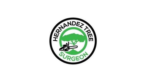 Hernandez Tree Surgeon