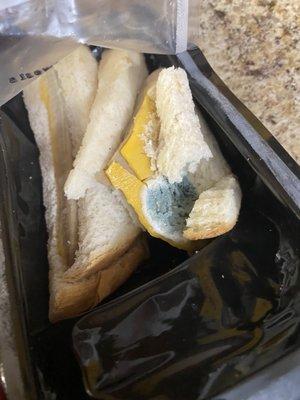 a few days ago I bought this bread in this gas station and that cannot be, where are the sanitary measures?