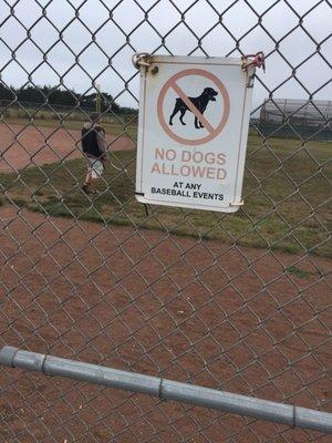 Be careful of belligerent brown husky owner running their dog on the fields...