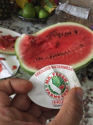 Seedless watermelon that is full of seeds