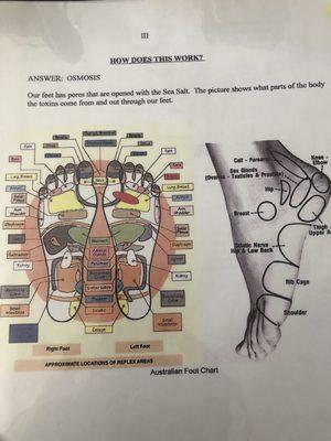 Reflexology