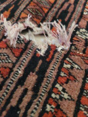 Shaia Oriental Rugs of Williamsburg