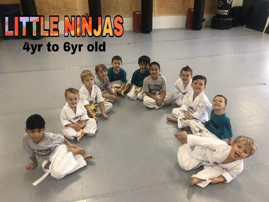 Little Ninjas 4yr to 6yr old Monday through Friday at 4:00pm to 4:40pm