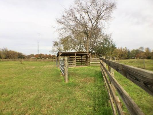 Large yard behind home for farm projects, pool, or backyard grilling