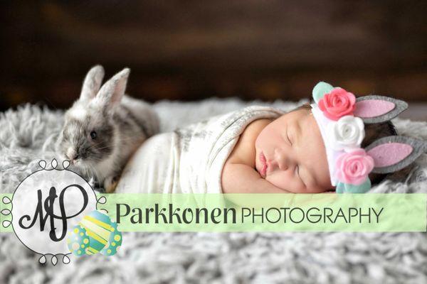 Parkkonen Photography