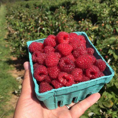 Awesome raspberries