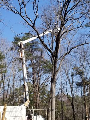 Reddick Tree Service