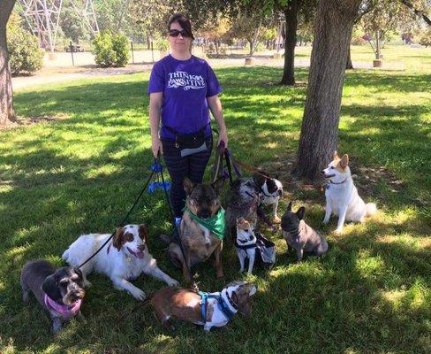 Play group after a walk.