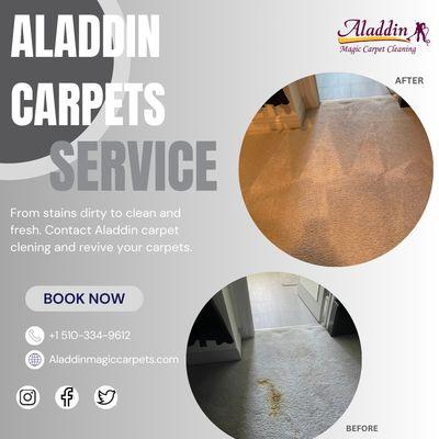 Aladdin Magic Carpet Cleaning