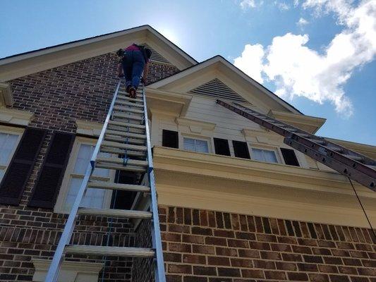 Bat removal Charlotte North Carolina