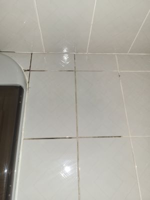 Dirty grout around the bath tub