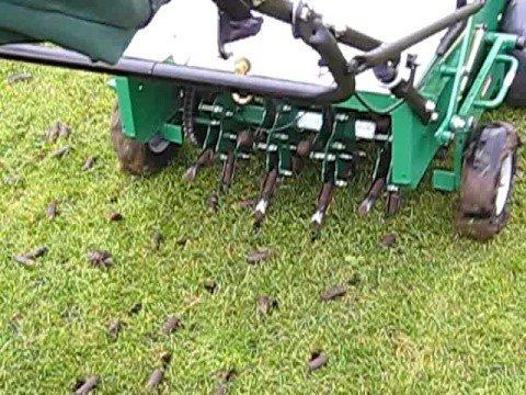 Aerating adds life and vitality to your lawn!