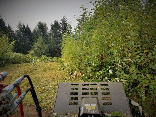 Brush hogging over grown clear cut