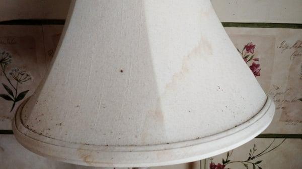 Lampshade dirty