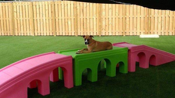 Queen of the play yard