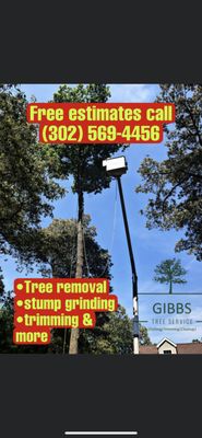 Free estimates (Gibbs tree service)