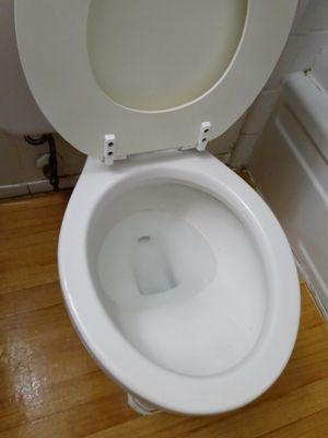 Toilet after