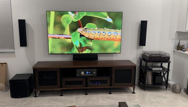 TV Mount with Boston Acoustic Speakers and Salamander Design Cabinet