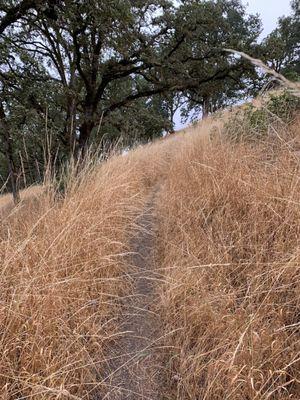 Summertime means dry grass