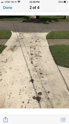 Oil all over a newly pressure washed driveway from the tree removal equipment.