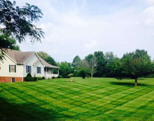 Wyatt's Lawn and Landscape