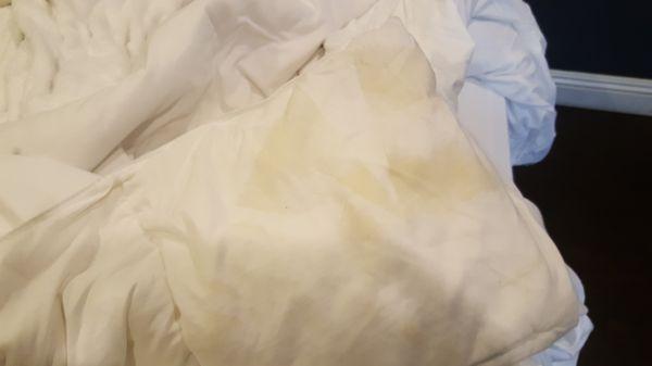 Stains on comforter