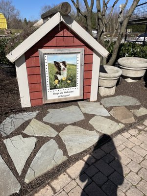 They're dog friendly! Grounds are great for walking your furry friend.