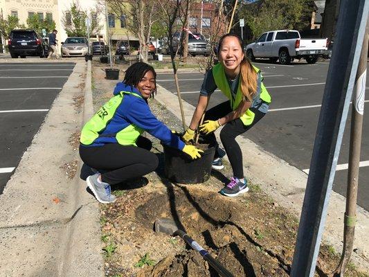 Duke students plant trees in Downtown Durham