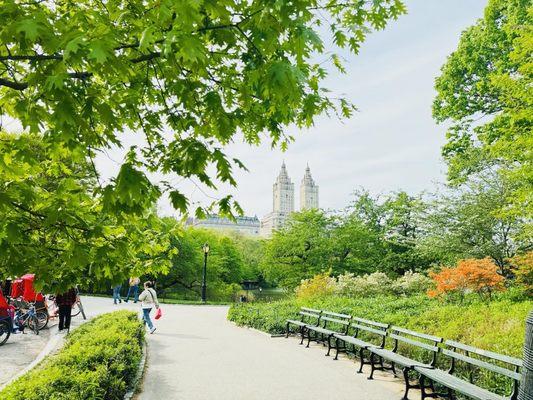 OFFICIAL Central Park Pedicab Tours