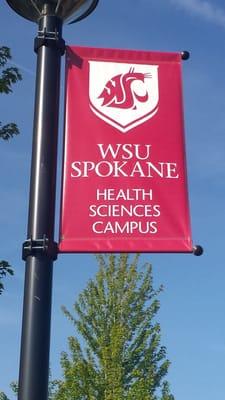 Washington State University - Spokane