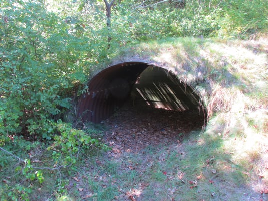 Part of the artillery battery