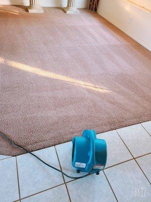 Monterey Bay Carpet & Tile Cleaning