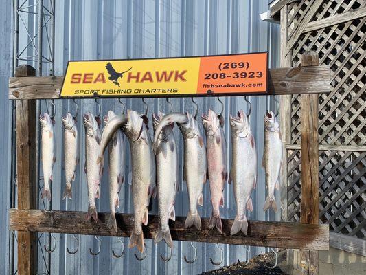 Not bad for one day of fishing!