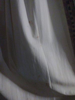 More BLOOD and FECES on the curtains