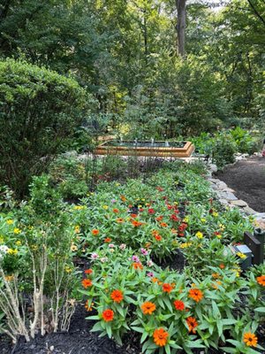 Garden and fountain