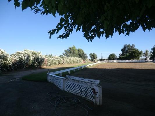 Lookikng towards the entry to  the ranch