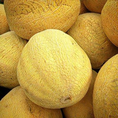 M&D Farms 8/8/21 Muskmelons $4/ea