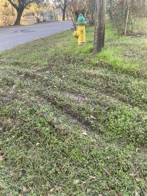 Heavy truck damage at the corner of my property, where the city had repaired the drainage. Hopefully, they didn't crush it!