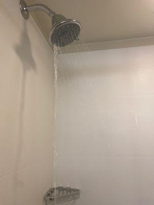 Shower head